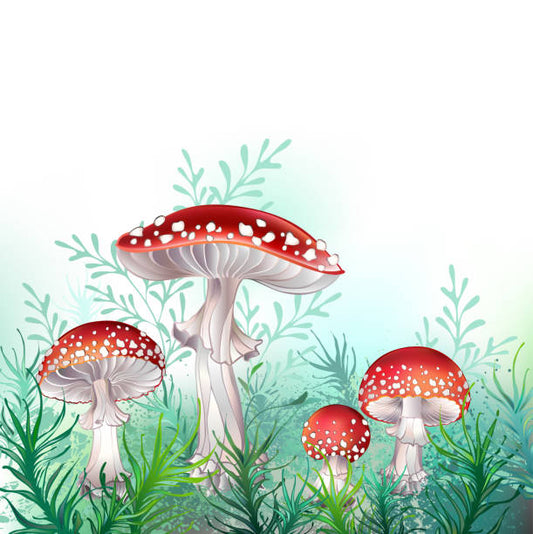 Summer of Magic: Letter Series for Kids